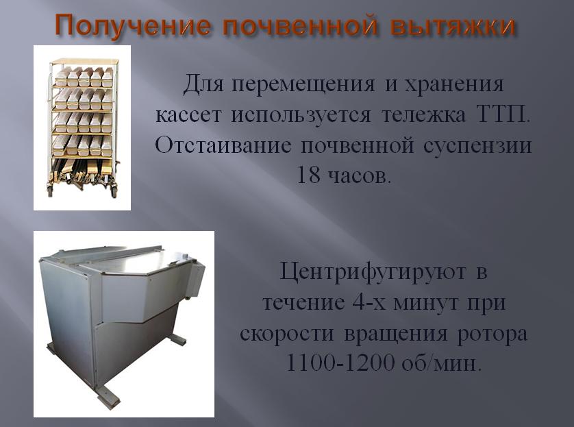 8ма